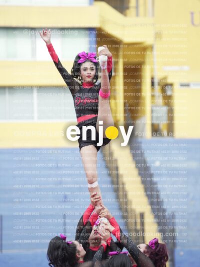 Joy02942