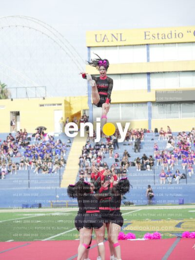 Joy02960