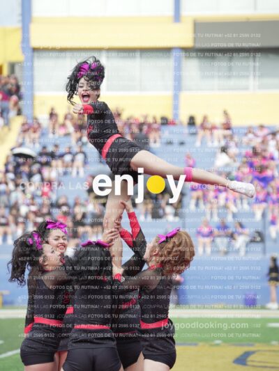 Joy02966