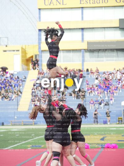 Joy02970
