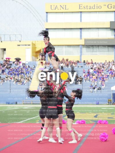Joy02994