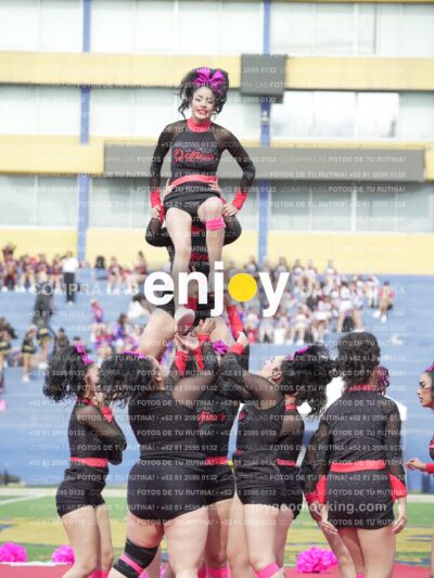 Joy02999