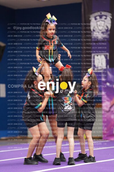 Joy02 Dsc08391