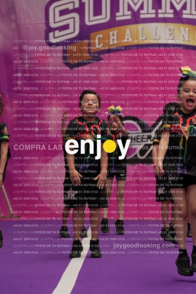 Joy02 Joy05305