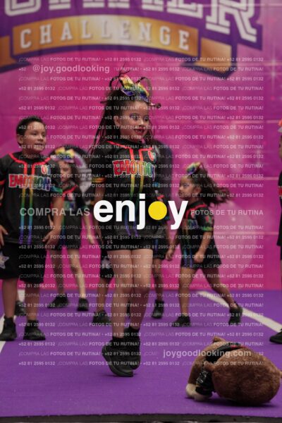 Joy02 Joy05309