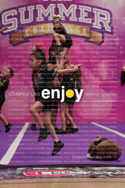 Joy02 Joy05315