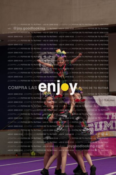 Joy02 Joy05334