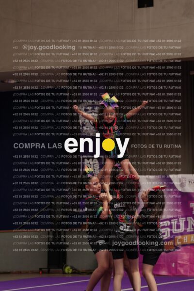 Joy02 Joy05335
