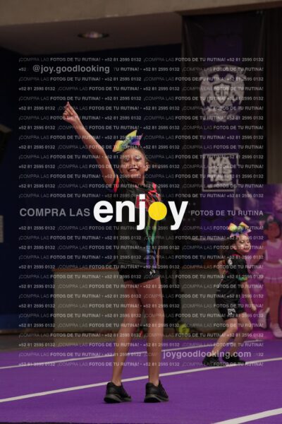 Joy02 Joy05372