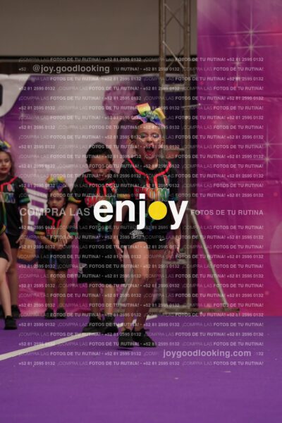 Joy02 Joy05384