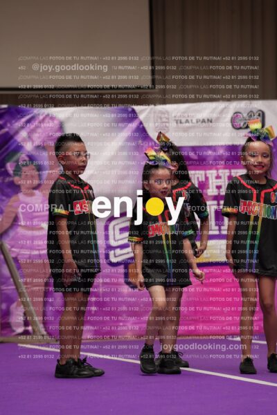 Joy02 Joy05389