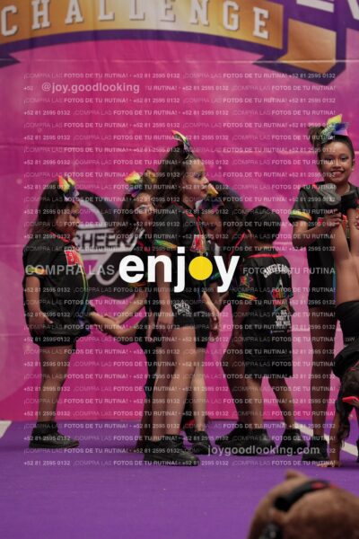 Joy02 Joy05393