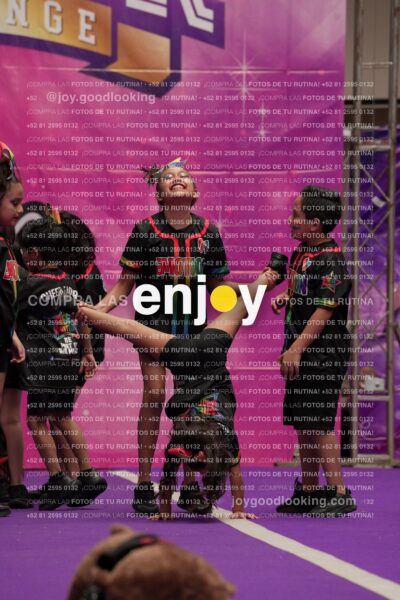 Joy02 Joy05396