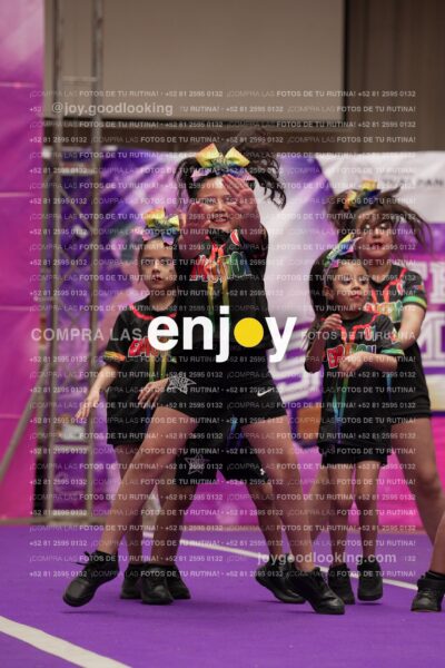 Joy02 Joy05421