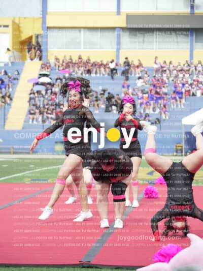 Joy03019