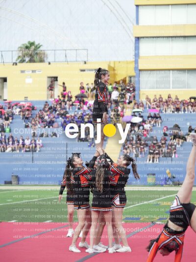 Joy03086