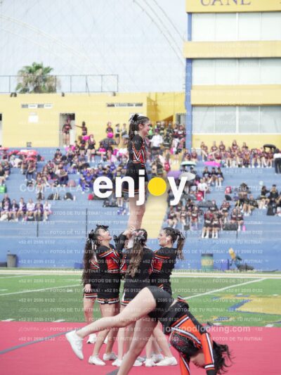 Joy03087