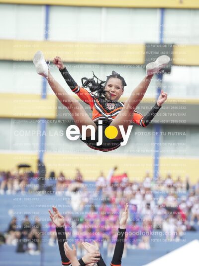 Joy03130
