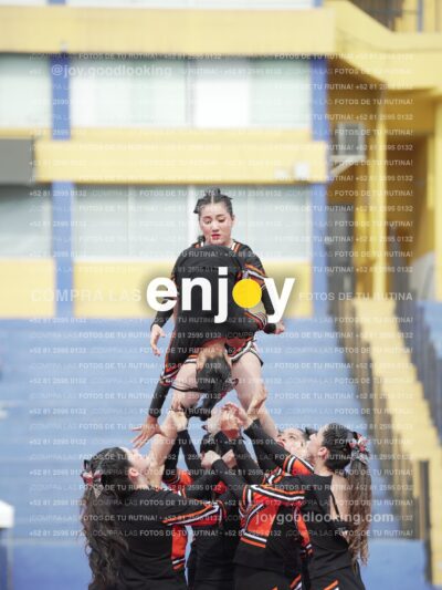Joy03195