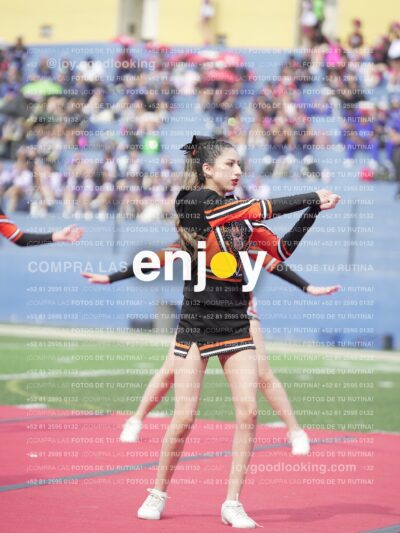 Joy03204