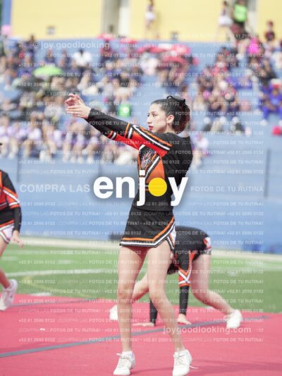 Joy03205