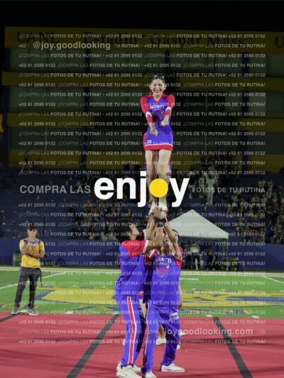 Joy03285