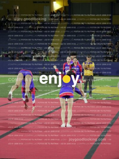 Joy03296