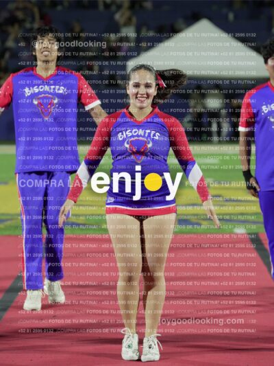 Joy03309