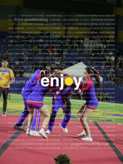 Joy03340