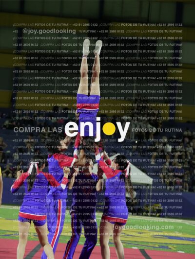 Joy03344