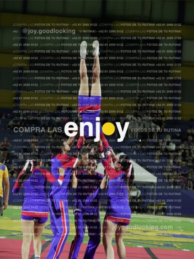 Joy03345