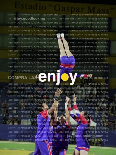 Joy03363
