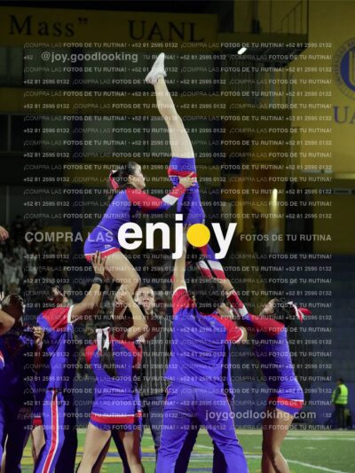 Joy03401