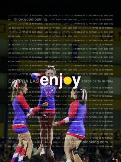 Joy03415