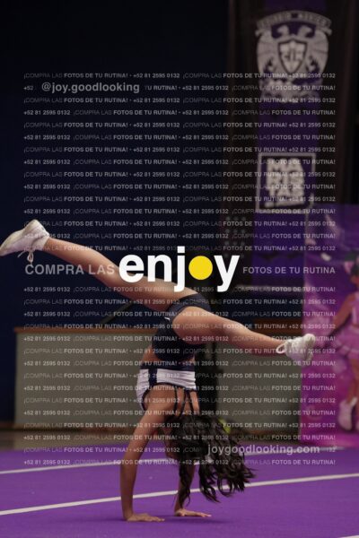 Joy03 Joy05465