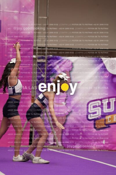 Joy03 Joy05508