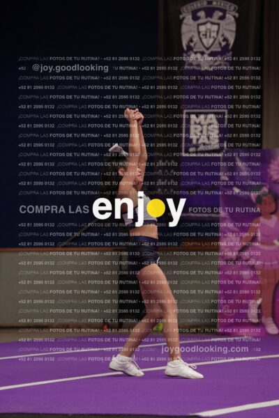 Joy03 Joy05512