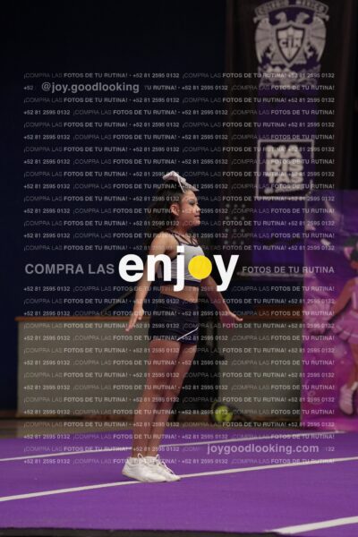 Joy03 Joy05514