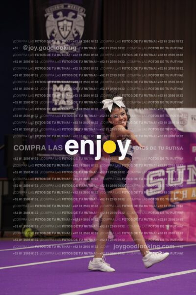 Joy03 Joy05517