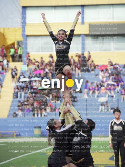 Joy04204