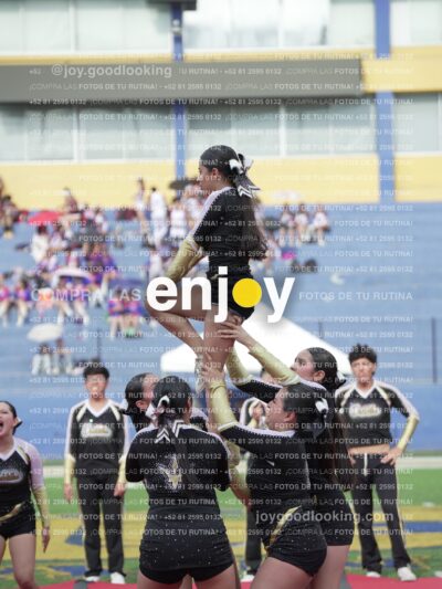 Joy04208