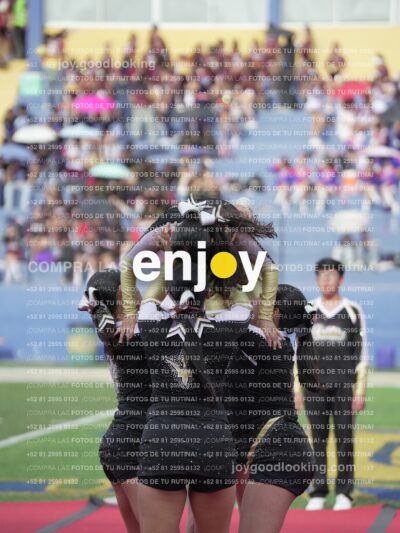 Joy04220