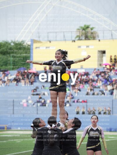 Joy04231