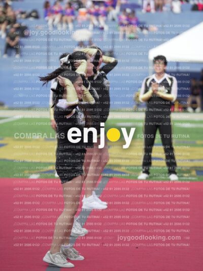 Joy04237
