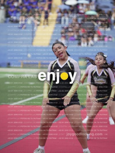 Joy04251