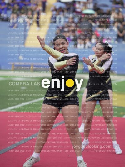 Joy04253