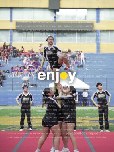 Joy04259