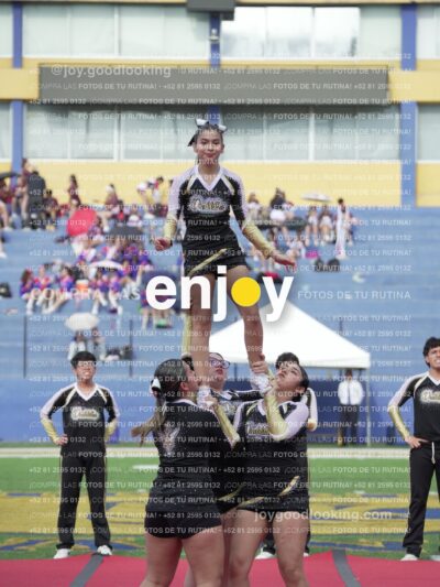 Joy04264