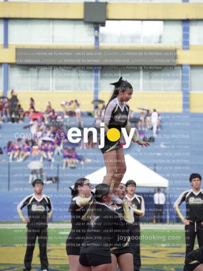 Joy04266