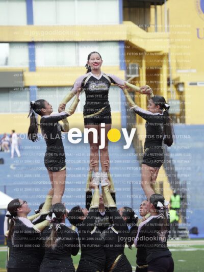 Joy04271